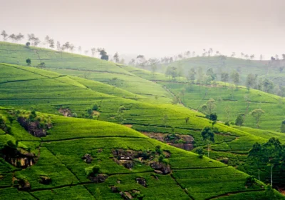 Hill Country in Sri Lanka