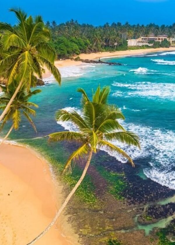 9 Days Sri Lanka Southern Tour.