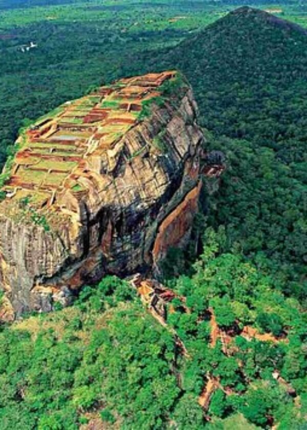 Day Trip to Sigiriya, cave and National Park Safari Tour (Private)